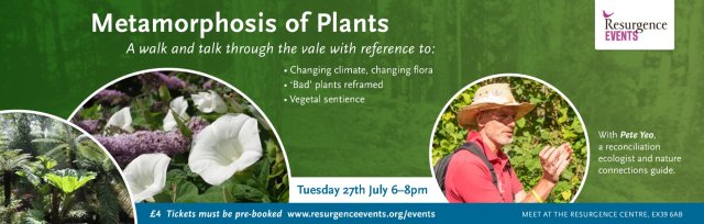 Metamorphosis of Plants – a walk and talk through The Vale in Hartland with Pete Yeo