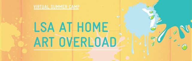 Virtual Summer Camp