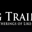 King Training image