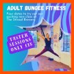 Adult Bungee Fitness Classes image
