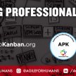 ProKanban.org - Applying Professional Kanban (APK) image
