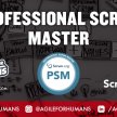 Professional Scrum Master (PSM) ONLINE Certification Class - PSM I image