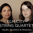 ECSQ play Haydn, Mozetich & Wiancko (Fredericton) image