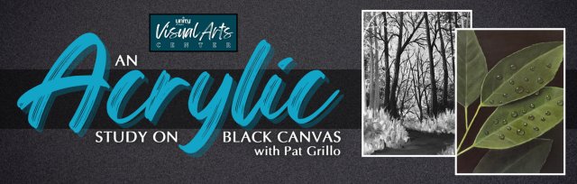 Painting Workshop with Pat Grillo | An Acrylic Study on Black Canvas