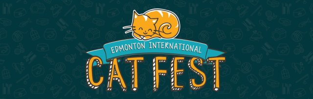 Digital Meet & Greet with Celebpurrty White Coffee Cat at Edmonton Cat Festival