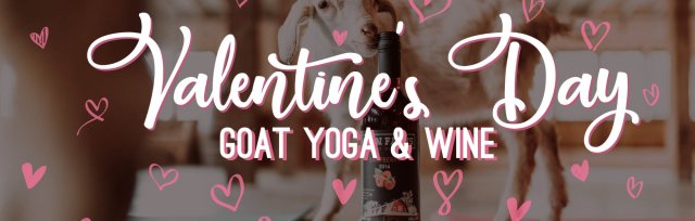 Valentine's Day Goat Yoga