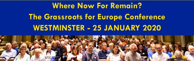 Where Now for Remain? The Grassroots for Europe Conference 2020