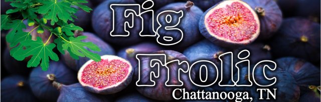 Fig Frolic