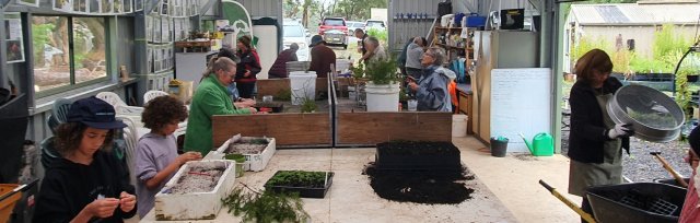 Celebrating National Science Week with SOLN: Growing & Propagating Native Plants