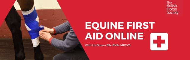 Equine First Aid Online