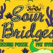 Sour Bridges w/ The Possum Posse and Pat Byrne image