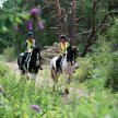 Ride Out UK Guided Rides in and around Astley, Worcs image