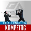 HEMA.CHALLENGE | Freikampf & Sparring | geplant image