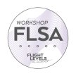 Flight Levels Systems Architecture (FLSA) image