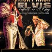 Ricky Aron Elvis - A Tribute to A King image