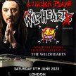 GINGER PLAYS WILDHEARTS image