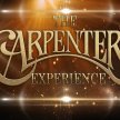 The Carpenters Experience Live image