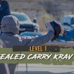 Concealed Carry Krav Maga Level I | UT | 2023 image