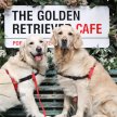 Golden Retriever Cafe Christmas - Bristol image