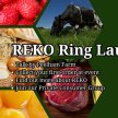 REKO RING LAUNCH! We Are What Our Food Eats! Peelham Farm (Organic/Grass Fed) Pick Up & Talk by Peelham Owners