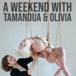A Weekend with Tamandua and Olivia image