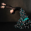Flamenco Dance: Intermediate/Advanced Technique Class (Winter Series) image