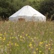 How To Build a Yurt image