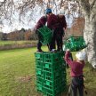 Crate Climbing and Archery image