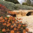 2022 Membership of the Friends of Jerusalem Botanical Gardens image