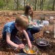 Forest Explorers: Natural Dyes image
