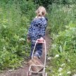 Saturday Forest School: A block of 5 drop-off sessions for 4-11 year olds from 18th June - 16th July 2022 image