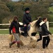 Horse Riding Sessions - Please read all  conditions and instructions image