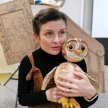 Wood Owl and the Box Of Wonders image