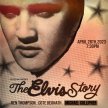 The ELVIS Story image