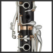 Clarinet - Getting to know your Instrument - 1 Day Course image