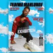 Tadiwa Mahlunge: Inhibition Exhibition image