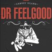 DR FEELGOOD image