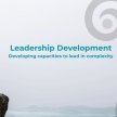 Leadership Developmental Profile image