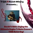 EAGLES TRIBUTE - Concert at Triple N Ranch Winery image