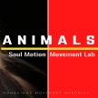 ANIMALS | SOUL MOTION LAB MILANO image