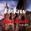 Trip to Kraków and Auschwitz image