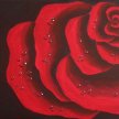 Rose Painting Experience image
