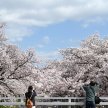 8 Japanese Philosophies for CBT - A Practical Introduction