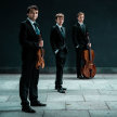 BBC New Generation Artists: Mithras Trio image