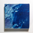 T16. Print Loop: Cyanotype, Cliché Verre and Gum Arabic Print with Virginia Dal Magro image