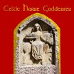 The Celtic Horse Goddesses image