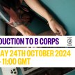 Introduction to B Corp Workshop image