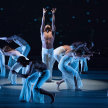 Carolyn Dorfman Dance Company image