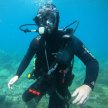 Scuba Diving - Get Certified image