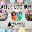 Easter Egg Hunt for Kids and Dogs! image
